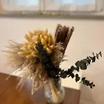 Lazy Goose Charming Bovec