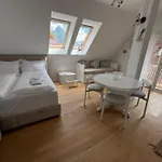 Lazy Goose Charming * Bovec