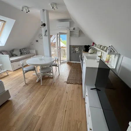 Apartman Lazy Goose Charming *