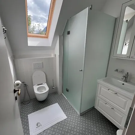 Lazy Goose Charming *