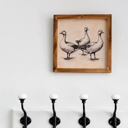 Lazy Goose Charming
