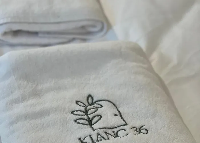 Lazy Goose Charming Apartment