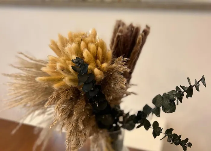 Lazy Goose Charming Bovec