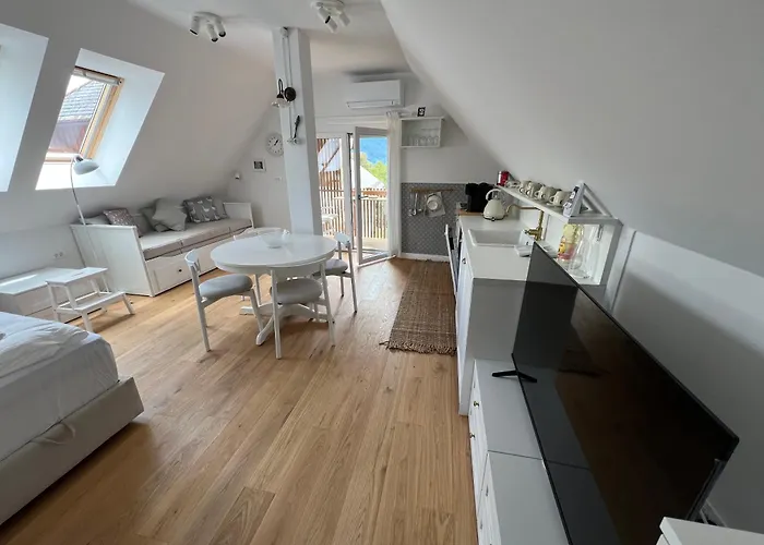 Lägenhet Lazy Goose Charming *