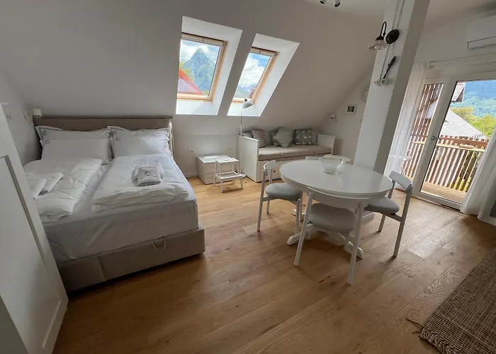 Lazy Goose Charming * Bovec